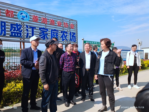 1603758270869605.jpg 微信图片_20201025235144_副本.jpg